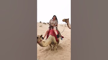 emotions Reactions funny att the camel ride att the desert safari camp Al Aweer #desertsafaridxbme