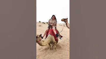 Emotions Reactions Funny Att The Camel Ride Att The Desert Safari Camp Al Aweer Desertsafaridxbme 