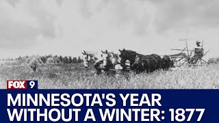 Minnesota's year without a winter: 1877