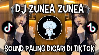 Download lagu DJ ZUNEA ZUNEA MERENDAHLAH SERENDAH RENDAHNYA || SOUND VIRAL DI TIKTOK‼️
