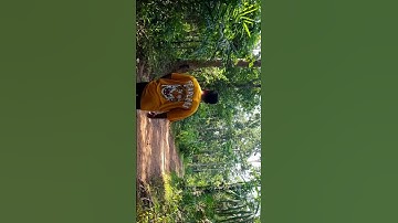 Prateek Kuhad - Co2 | Cinematic Video | Maybe I was wrong & you were right #shorts #cinematicvideo