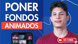 Cómo Establecer FONDOS ANIMADOS en WINDOWS 11/10/8 - 💻 Configura Wallpapers Divertidos screenshot 4