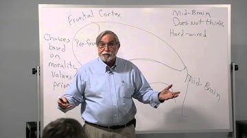 The Hijacked Brain Part 1: Understanding the Disease of Addiction