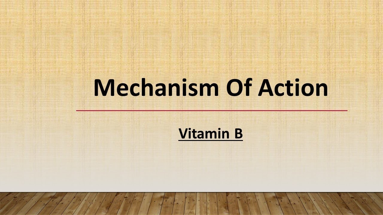 Mechanism of Action Vitamin B YouTube