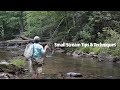 Small Stream tips & techniques | Fly Fishing for Wild Trout