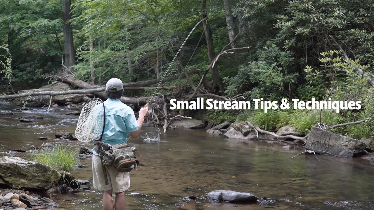 Small Stream tips & techniques  Fly Fishing for Wild Trout 