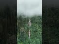 힐링 레인 뮤직 사운드 Healing Rain Music & Sounds , Relaxing Sounds, rain 빗소리   백색소음 ASMR | rain sounds