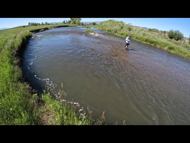 Madison River Fishing Guides :: Ennis, Montana 