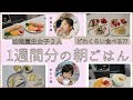 [幼稚園児２人家庭]リアルな簡単朝食献立１週間分|食卓覗いてみてね♪