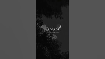 مقطع قرآن قصير بصوت القارئ: محمد صديق المنشاوي || أجمل حالات واتس اب دينيه || تلاوة خاشعة😴🎧