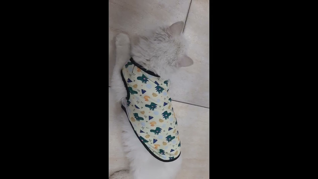 Джаспер снова погладил.