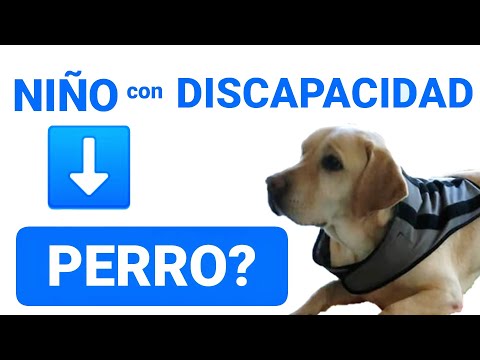 Un niño con discapacidad necesita un perro? 🐕🦺🤷♂️