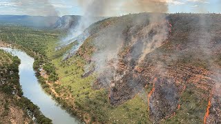 Help protect our wildlife from wildfire this summer