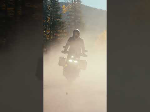 2023 Harley-Davidson Pan America 1250 Special #Shorts​​