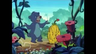 Judy In Wonderland Part 5 - The Arrival Of Judy