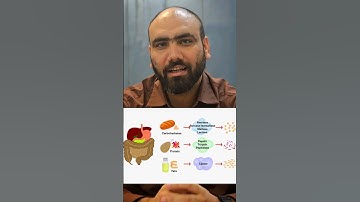 CAPF AC PAPER 1 Important Topic | IMPORTANT BIOLOGY Topic | PAPER 1 SCORE BOOSTER #capf #biology