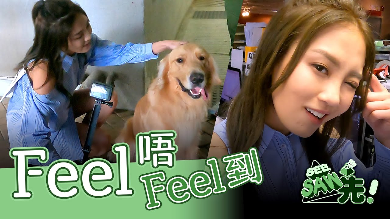 估唔到蘇韻姿有呢舖癮｜《Feel唔Feel到》｜See Saw 先