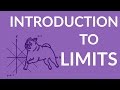 Understanding Limits and Asymptotes