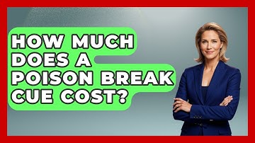 How Much Does A Poison Break Cue Cost? - Billiards Hustlers
