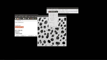 31 imagej的點選取工具Point Selections