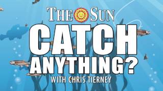 The Sun News - Catch Anything Introduction