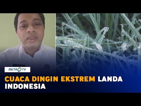 Video: Dari Mana Datangnya Waktu Musim Dingin Dan Musim Panas?