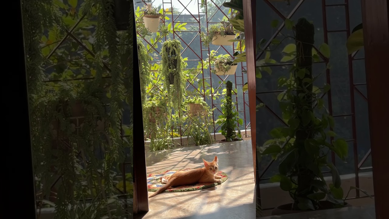 ❤️❤️❤️❤️