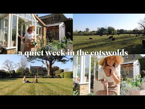 a quiet week at home in the English Countryside 🌳  The Cotswolds Weekly Vlog 🌳