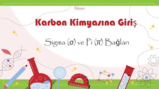 Sigma Σ Ve Pi Π Bağları Karbon Kimyasına Giriş