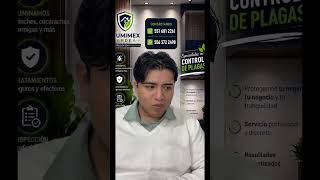 #live #controldeplagas #fumigacion #fumimexardea