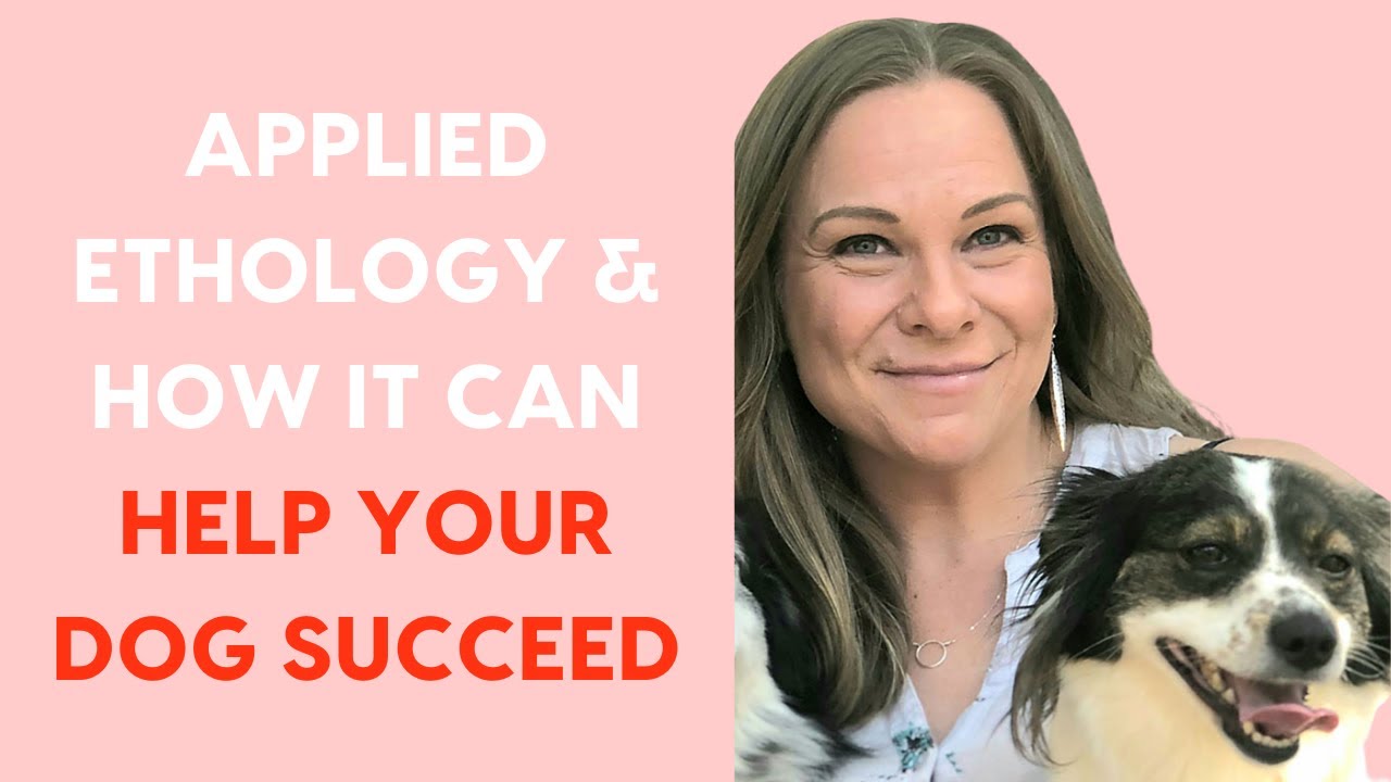 Applied Ethology & How It Can Help Your Dog Succeed: An Interview with Kim Brophey