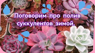 :     . 