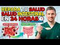 Formas 100% naturales de mejorar tu salud intestinal (los médicos ocultan esto) | Salud Senior