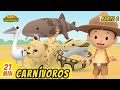 Carnívoros Episodio Compilación [Parte 6/6] (Español) - Leo, El Explorador | Animación - Familia