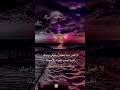 لاتجعل شيئا يعكر حياتك