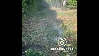 DISINFESTAZIONE TALPE BIODISINFEST