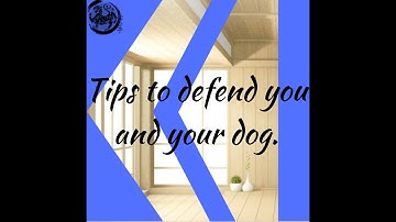 Practical Karate |   Dog defense tips short   | Aylesbury Modern Combat Karate