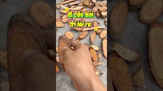 Đi Cầu Búi Trĩ Lòi Ra Dùng N ,678,665