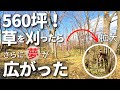 #2 笹と竹で覆われた1861㎡！総集編ではないのに一気に刈ります！/廃鶏からウチの子になったニワトリたち♡/白身魚の甘酢あんかけ