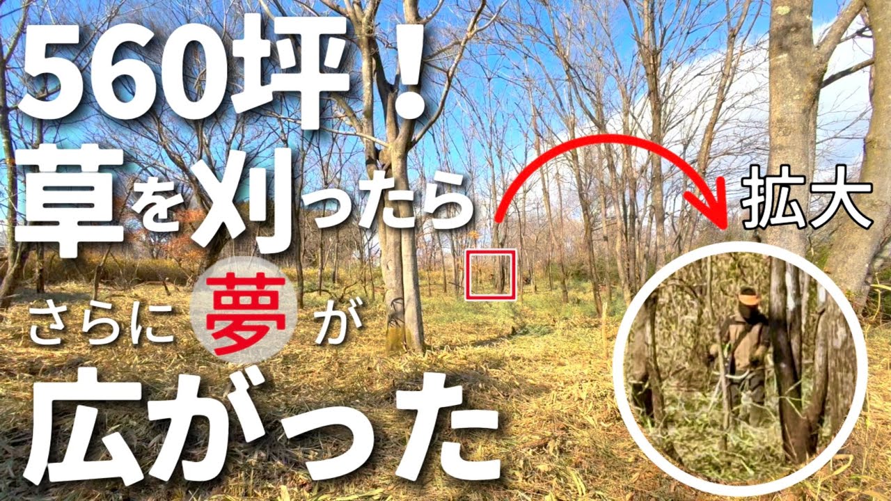 #2 笹と竹で覆われた1861㎡！総集編ではないのに一気に刈ります！/廃鶏からウチの子になったニワトリたち♡/白身魚の甘酢あんかけ