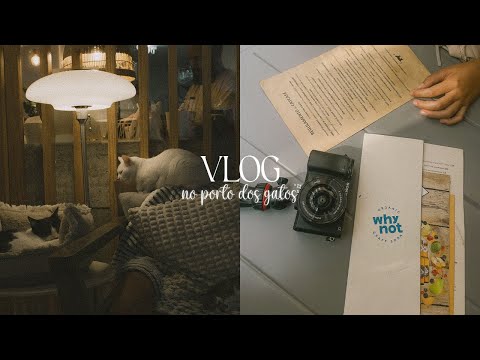 VLOG: FOMOS AO PORTO DOS GATOS