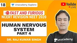 Fast And Furious | NCERT Revision NEET 2020 | L 18 Human Nervous System Part 4 | Biology