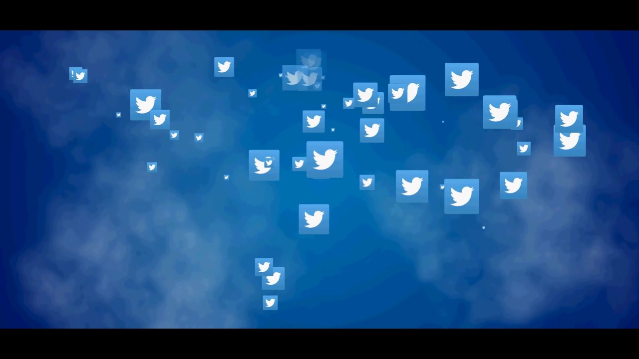 twitter flying animation// free video download//4k video