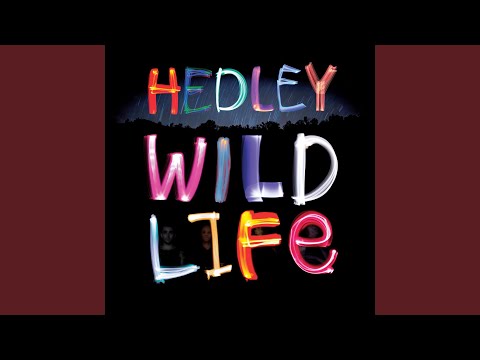 Video Wild Life