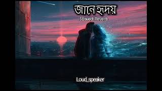 Janey Hridoy | Mitthye Premer Gaan | Anirban Isha Arjun | Ishan Kuntal | Slowed+Reverb