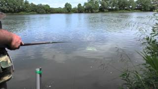 городская рыбалка в москве видео городская рыбалка в москве видео