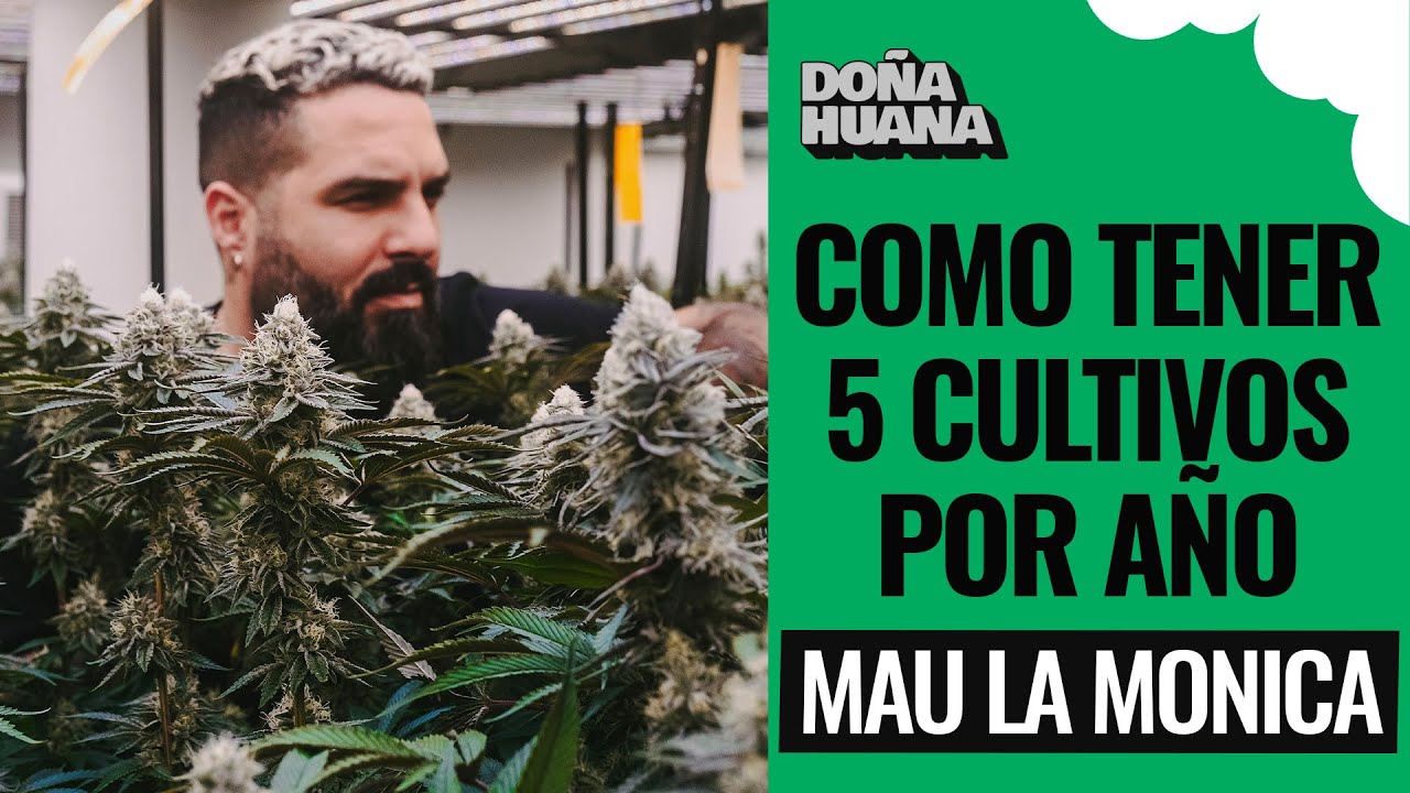 "Cambio los niveles de PH para tener colores lindos" - MAU LA MONICA