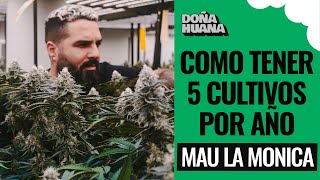 "Cambio los niveles de PH para tener colores lindos" - MAU LA MONICA