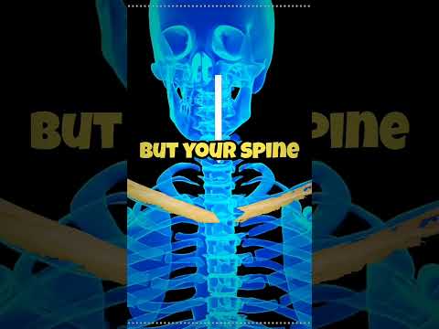 How to Survive a Falling Elevator (EXPLAINED)