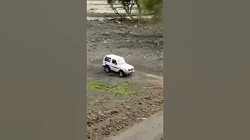 زامل حسين الطير 